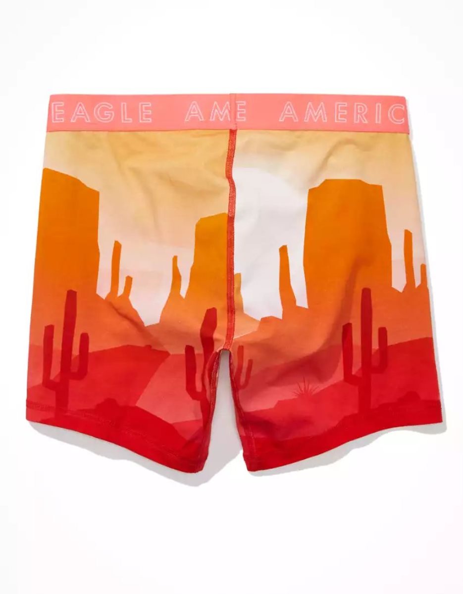 Slips American Eagle AEO Valley Desert 6